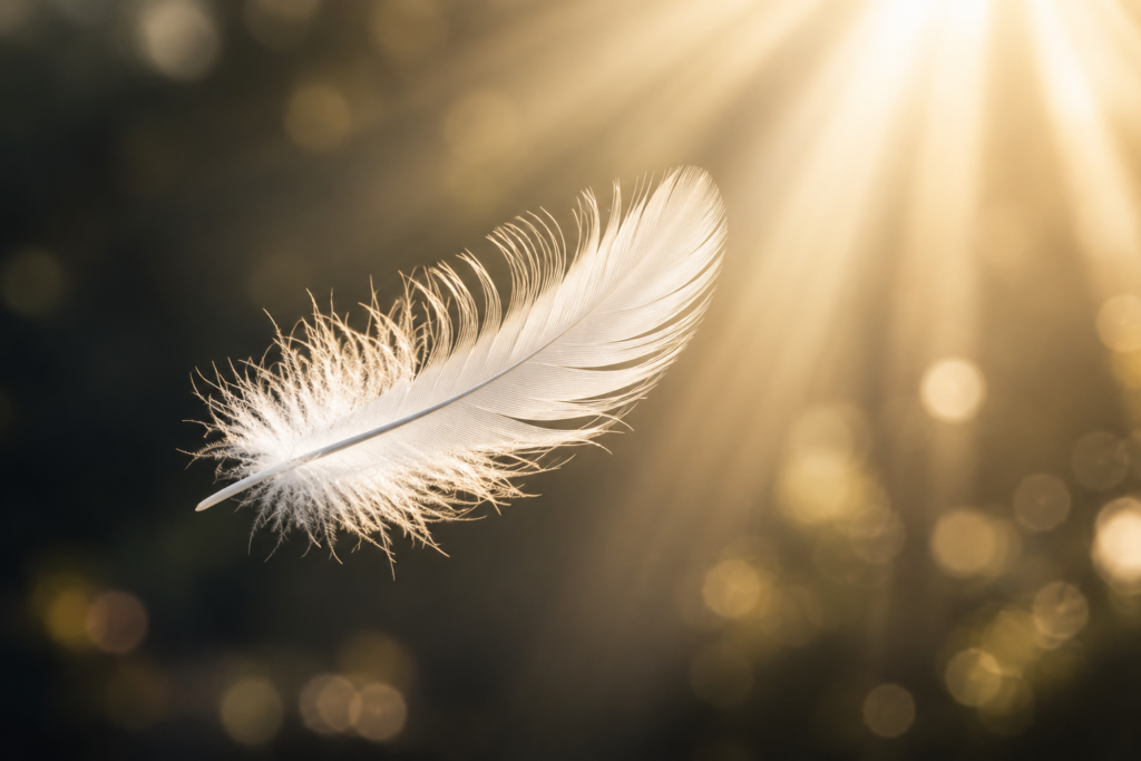 The Spiritual Meaning Of A White Feather - David William Psychic Medium